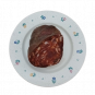 🥇 Pack Embutidos Ibéricos de Bellota 🐖 | Lomo, Chorizo, Salchichón Gourmet